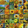 Thumbnail for version as of 10:48, 19 November 2011