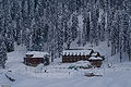 Thumbnail for version as of 07:17, 3 August 2010