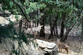 Thumbnail for version as of 12:00, 10 September 2017