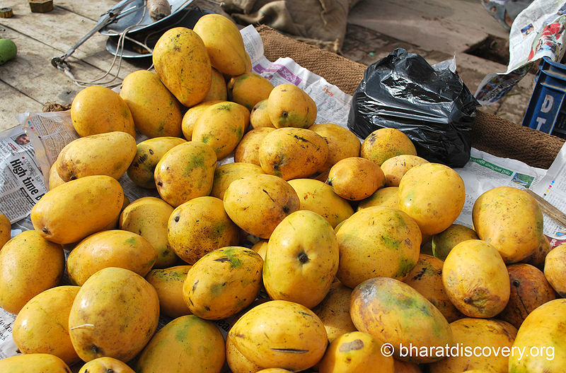 File:Mango-5.jpg