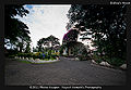 Thumbnail for version as of 07:13, 16 June 2012