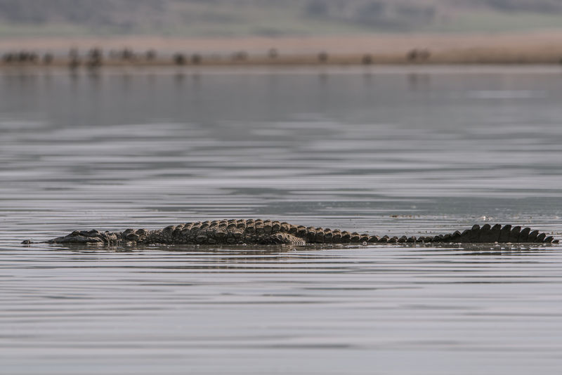File:Chambal-River-7.jpg
