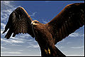 Thumbnail for version as of 11:20, 15 October 2011