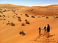 Namib-Desert-1.jpg