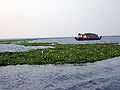 Thumbnail for version as of 08:14, 25 July 2012