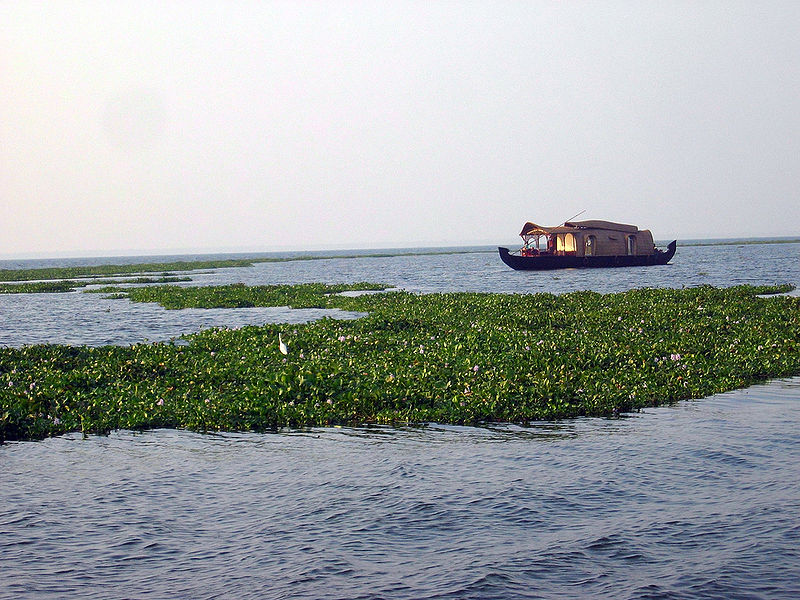 File:Vembanad-Lake-2.jpg