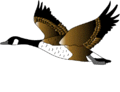 Thumbnail for version as of 14:54, 20 March 2010
