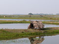 Chilika-Lake-7.jpg