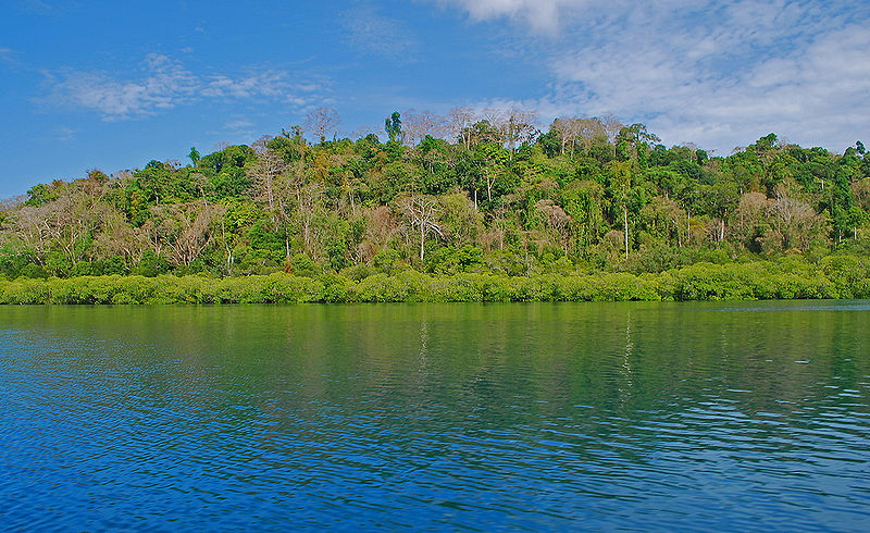 File:Havelock-Island-3.jpg