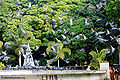 Thumbnail for version as of 08:09, 2 July 2011