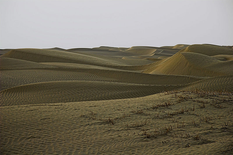 File:Taklamakan-Desert-1.jpg